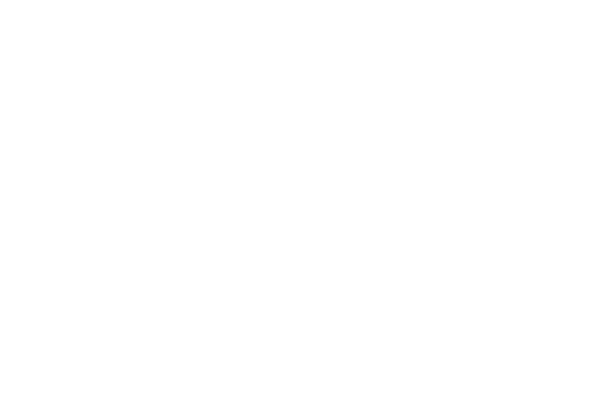 Evina - logo
