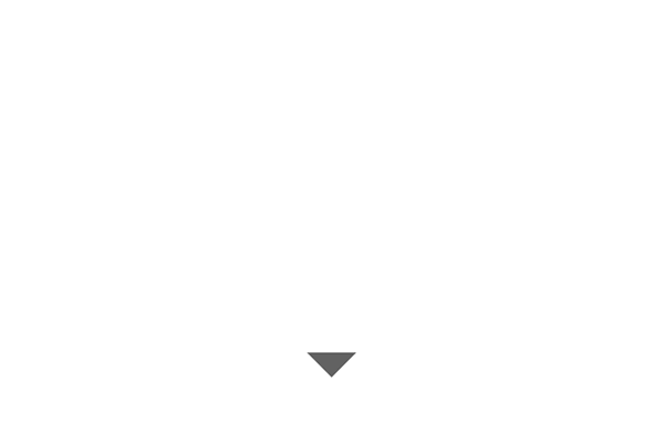 Caribbean Food Distribution - logo